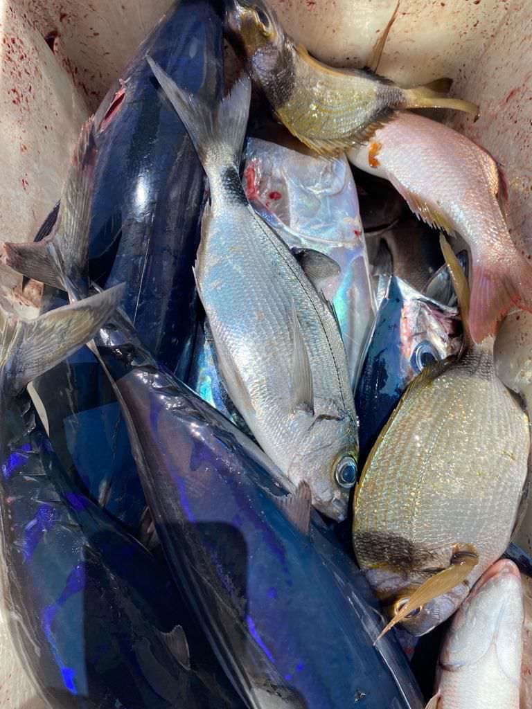 sport-fishing-madeira-65