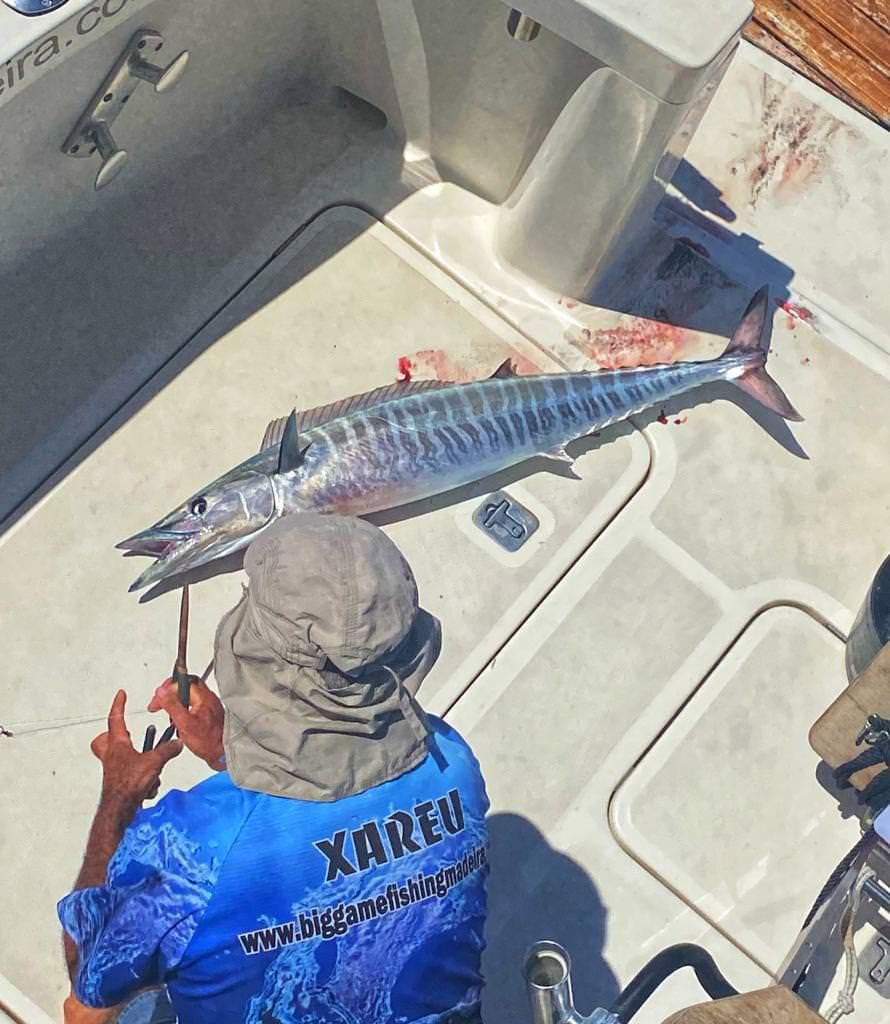sport-fishing-madeira-12