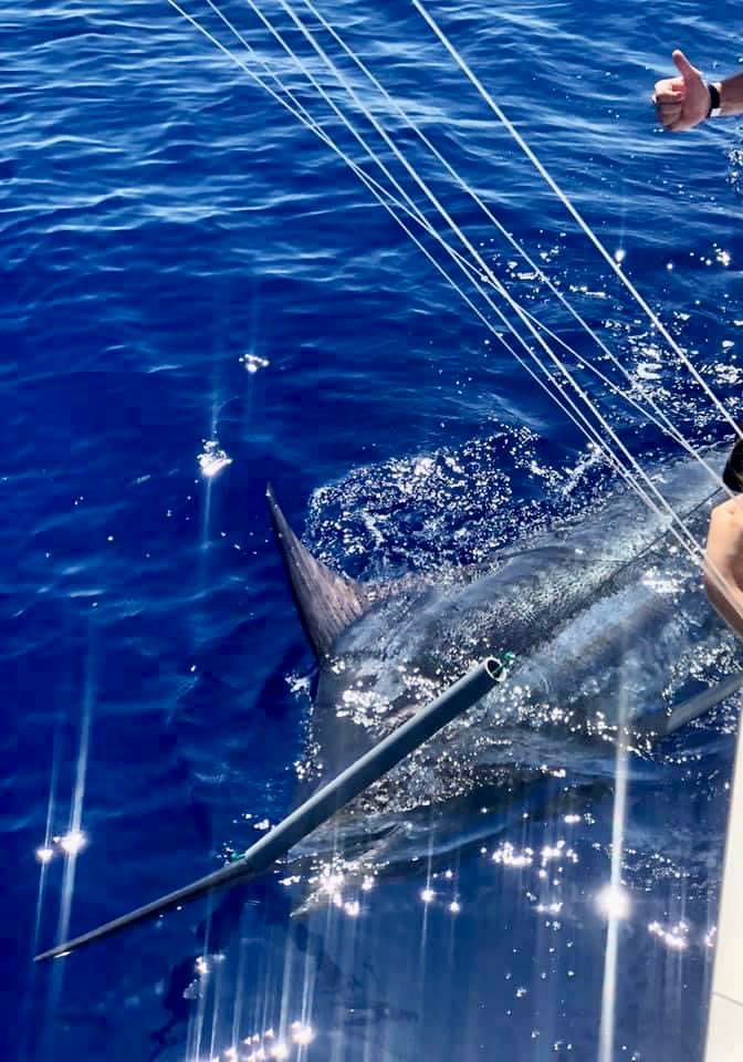 sport-fishing-madeira-39