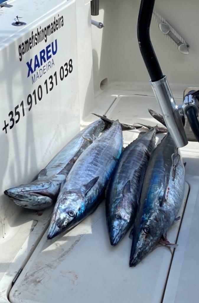 sport-fishing-madeira-05