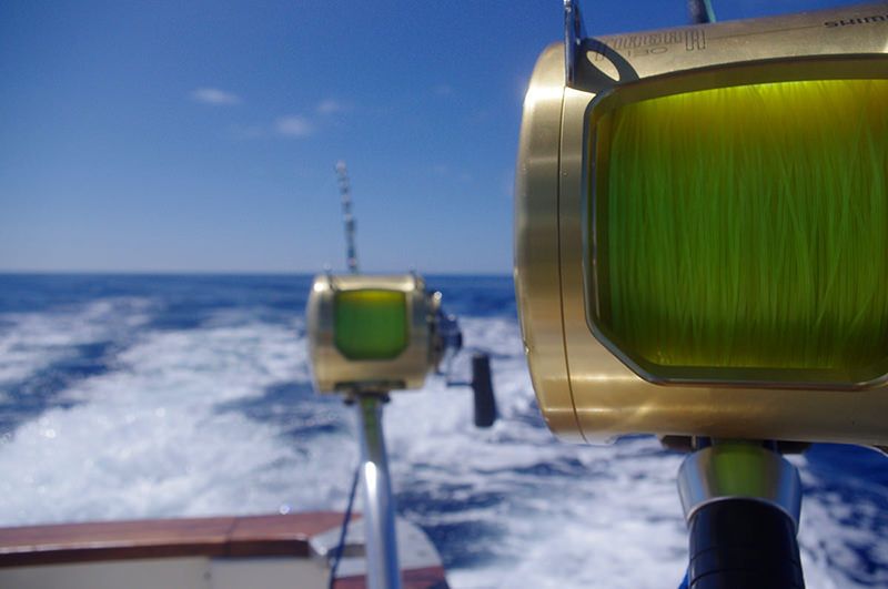 xareu-fishing-madeira-08