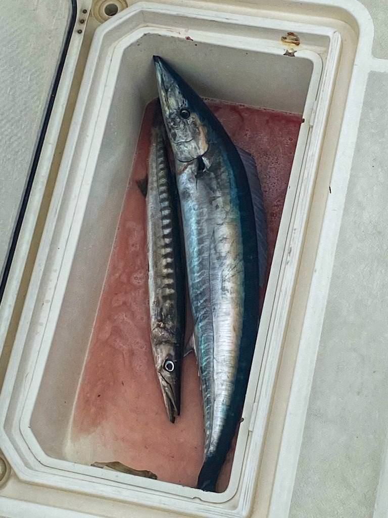 sport-fishing-madeira-20