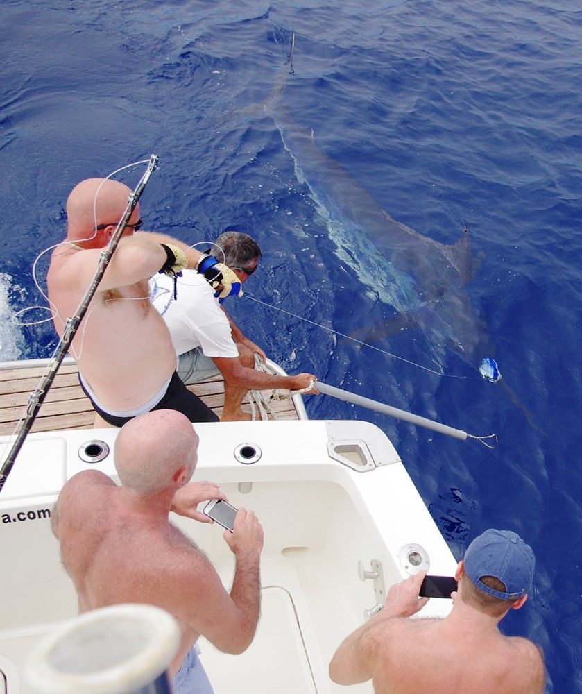 xareu-fishing-madeira-19