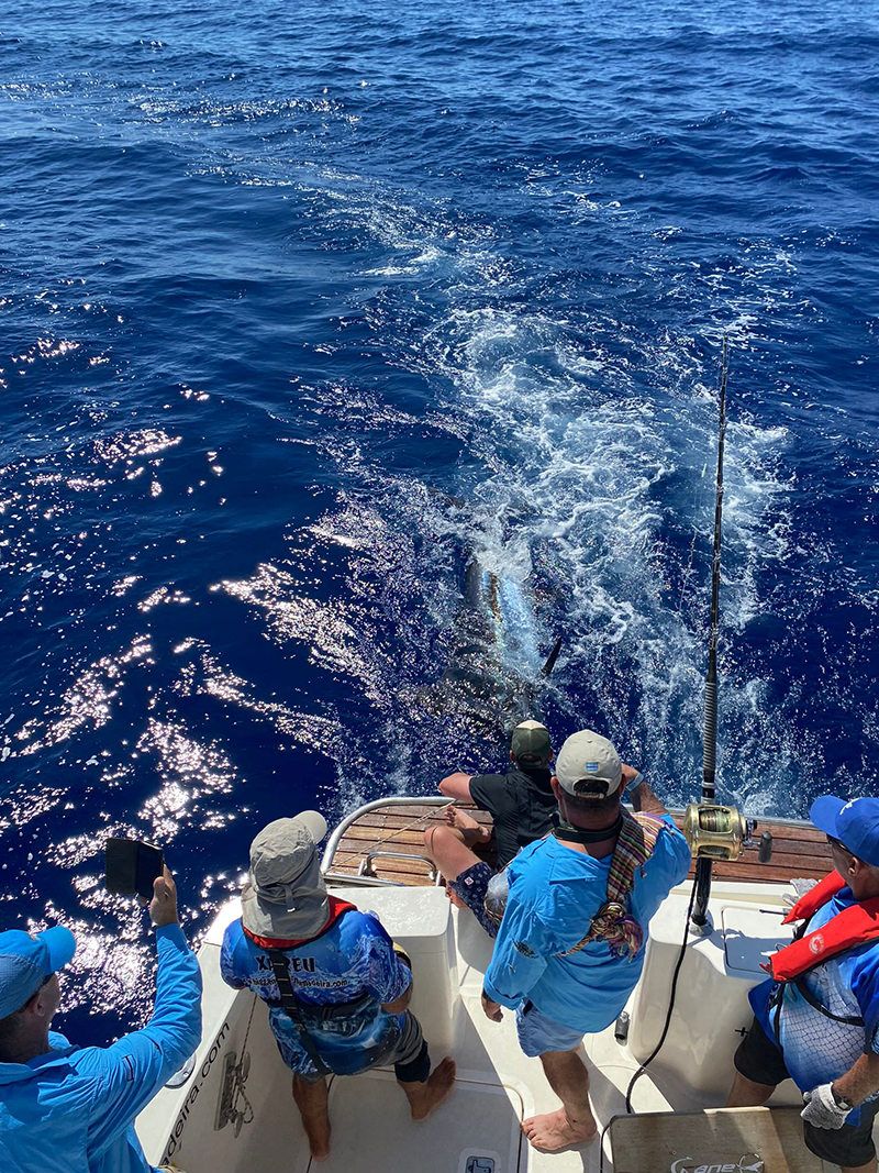 sport-fishing-madeira-35