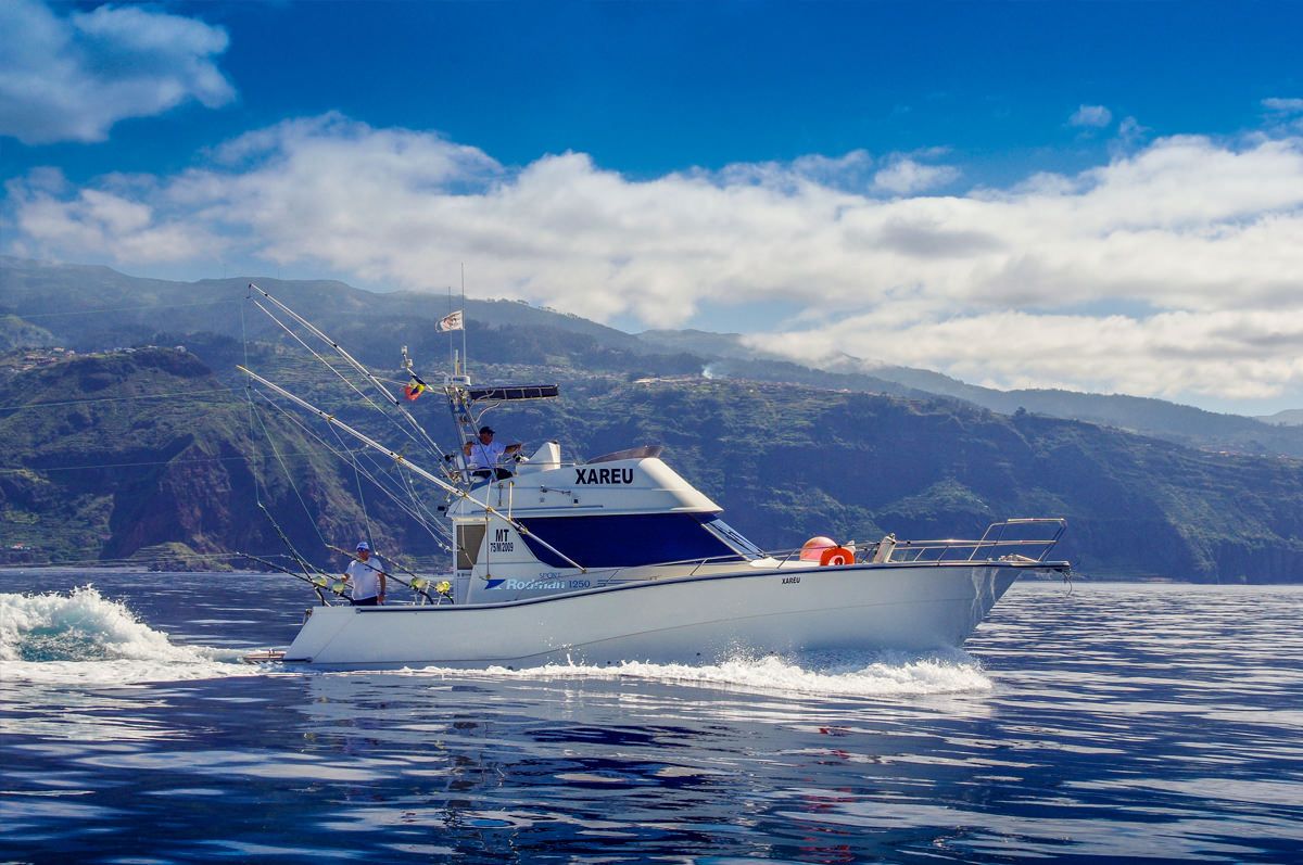 xareu-fishing-madeira-48