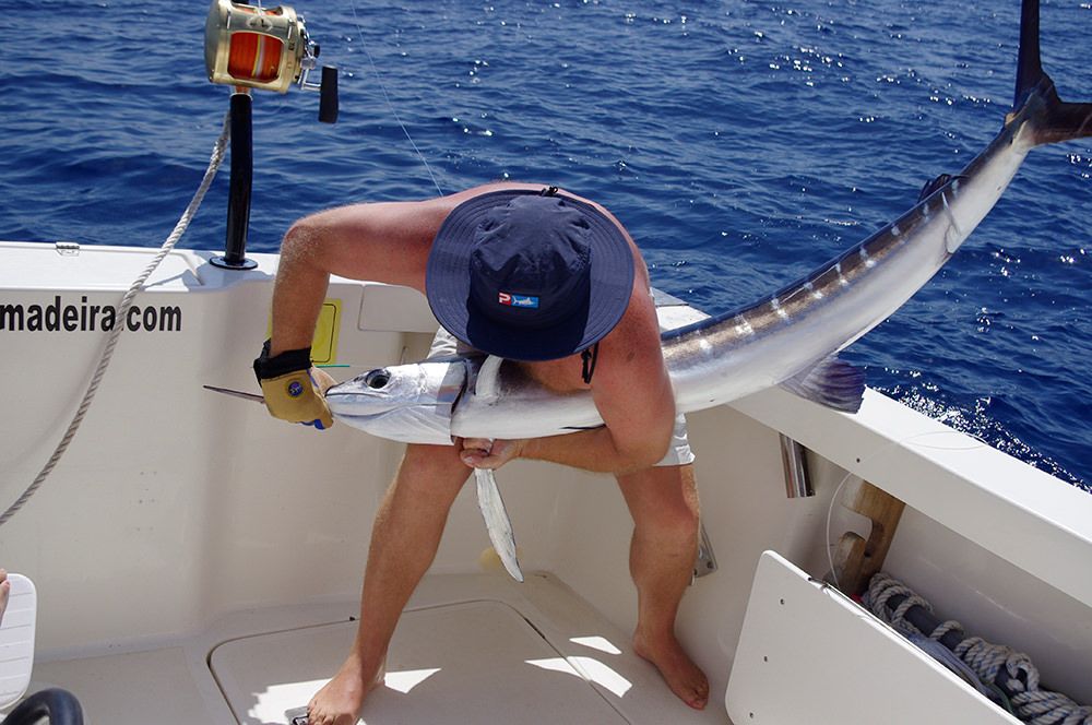 xareu-fishing-madeira-38