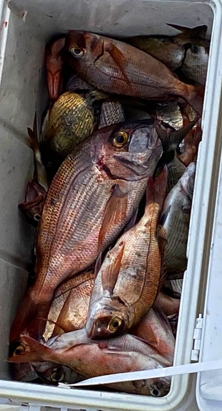 sport-fishing-madeira-66