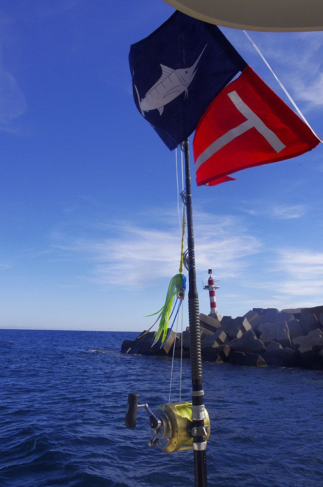 xareu-fishing-madeira-13