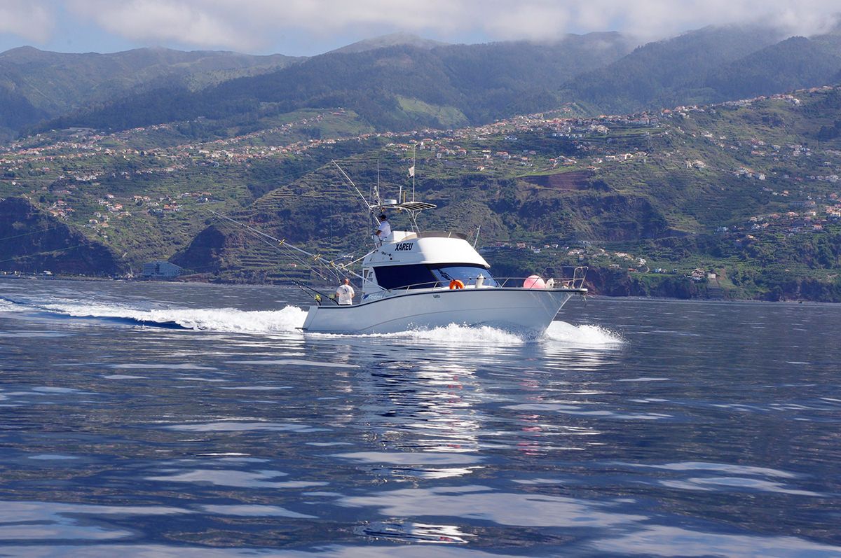 xareu-fishing-madeira-02