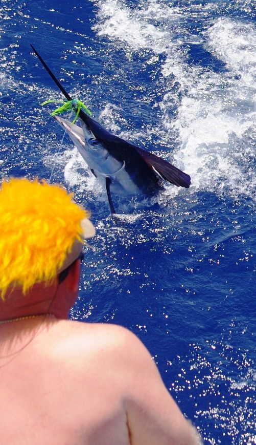xareu-fishing-madeira-41