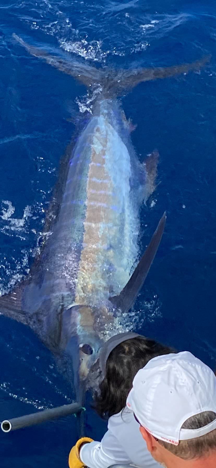 sport-fishing-madeira-43
