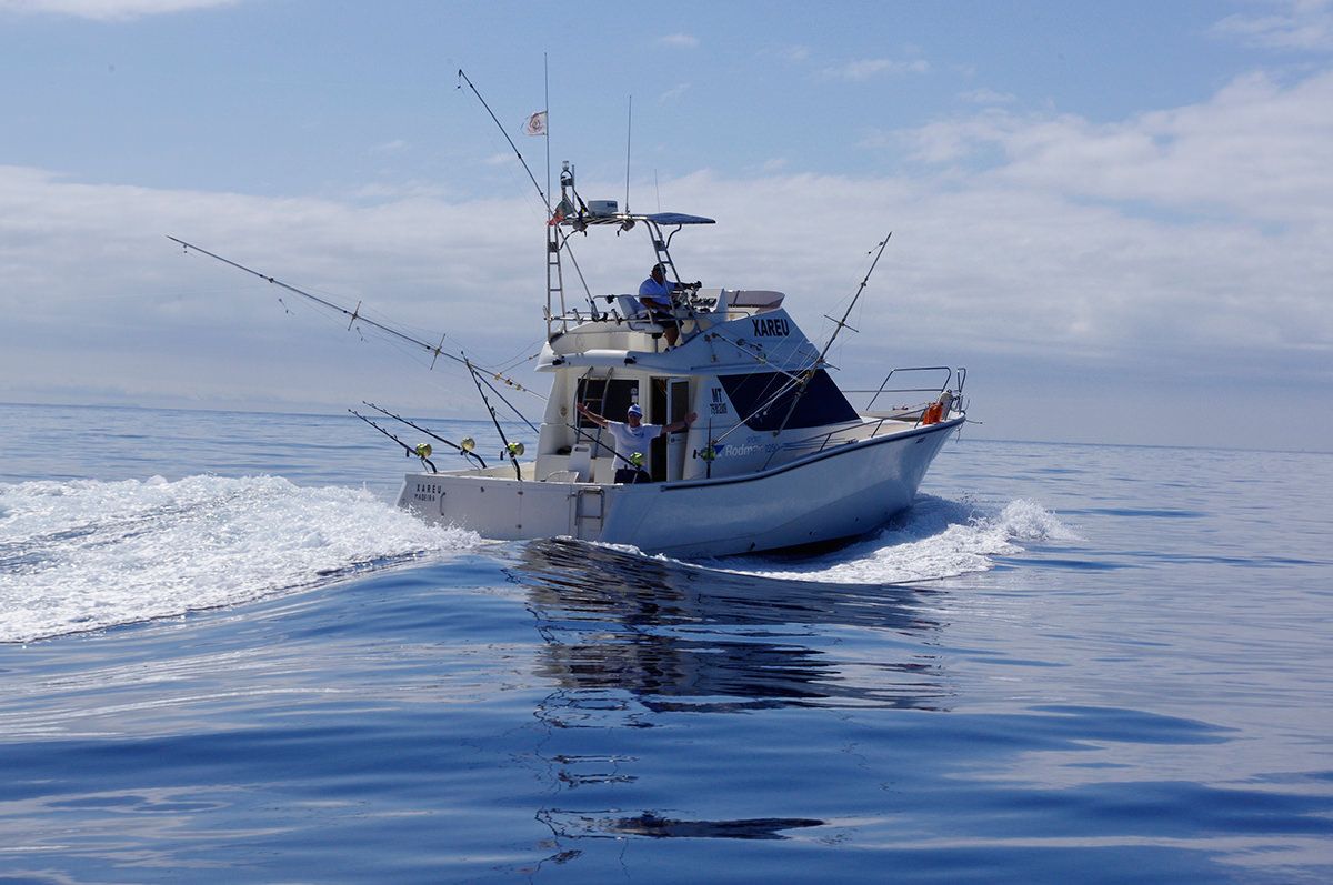 xareu-fishing-madeira-03