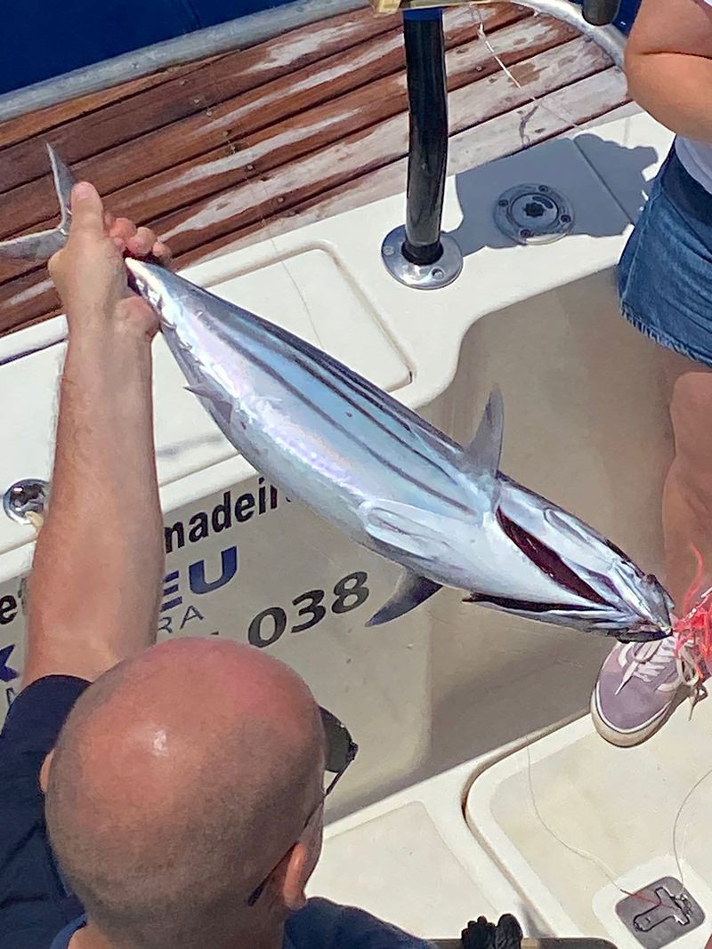 sport-fishing-madeira-60