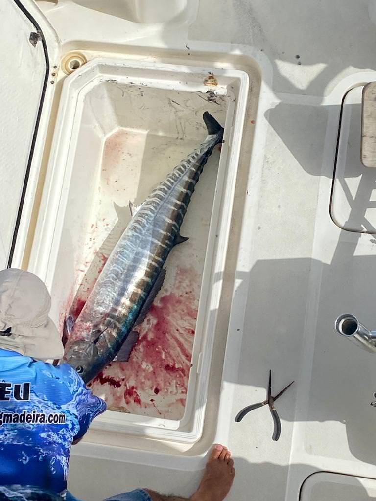 sport-fishing-madeira-14