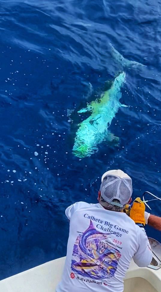 sport-fishing-madeira-31