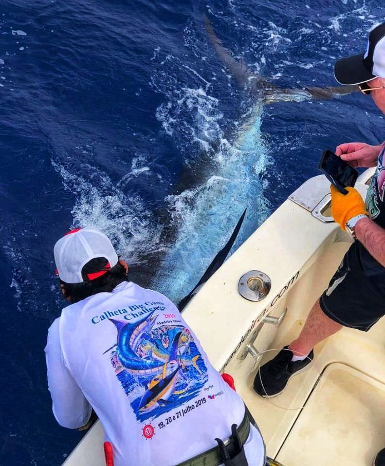 sport-fishing-madeira-41