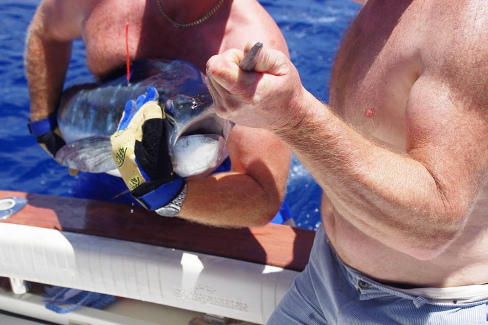 xareu-fishing-madeira-42