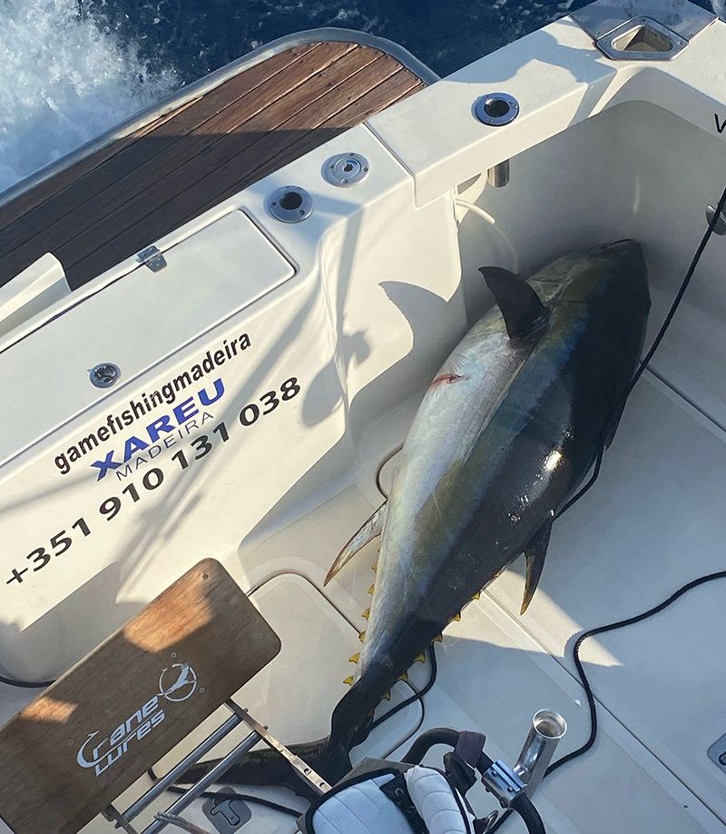 sport-fishing-madeira-26