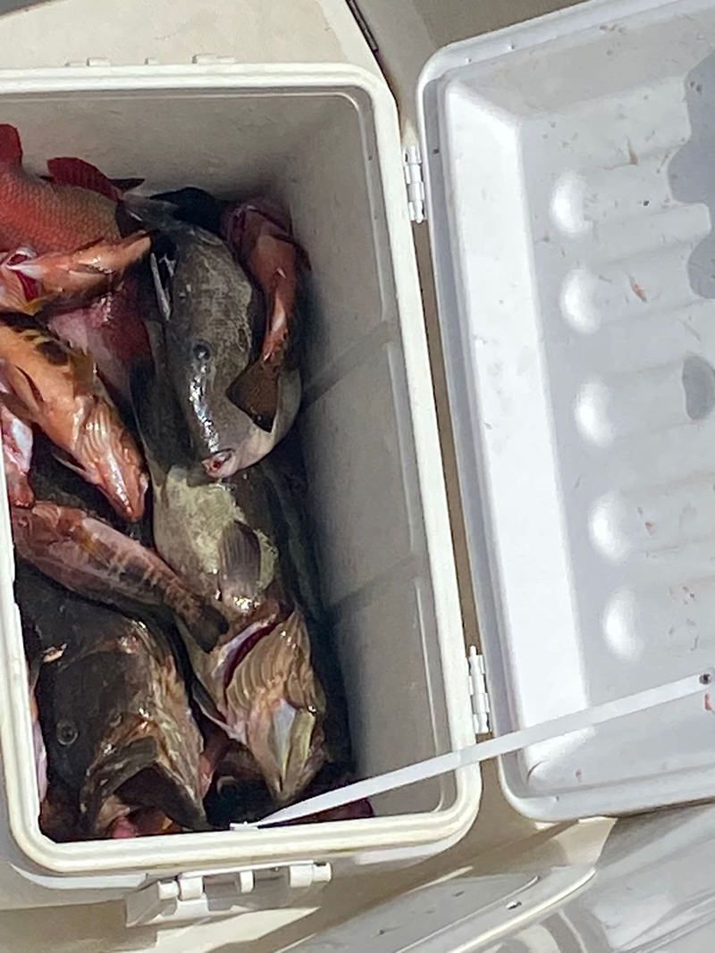 sport-fishing-madeira-59