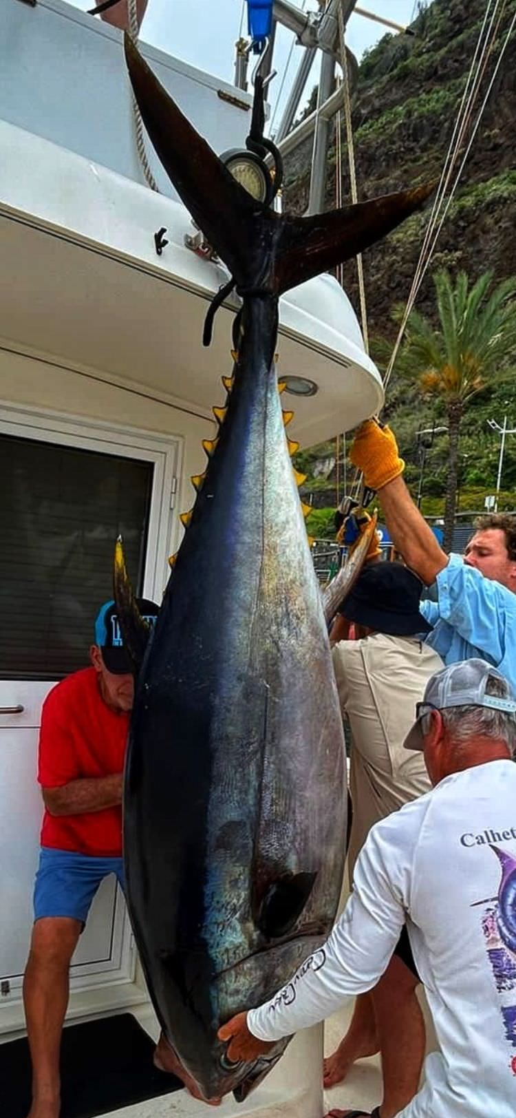 sport-fishing-madeira-30